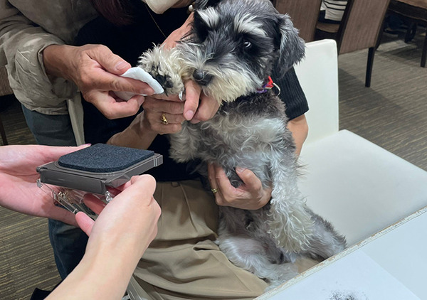 犬猫リング・ペンダントをオーダーメイドで作る