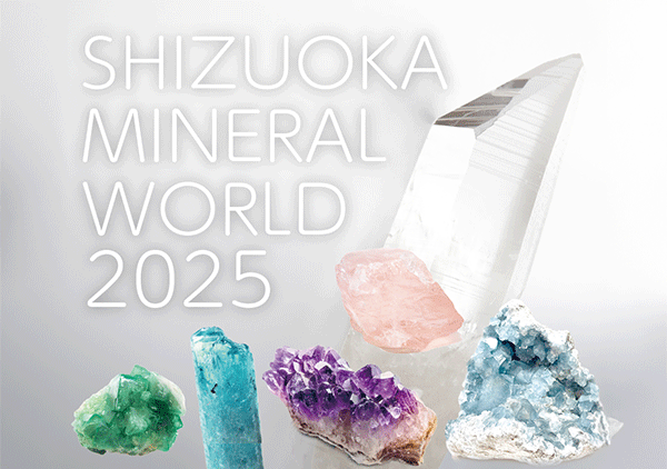 ミネラルワールド2025 at FIRST DIAMOND 今年も開幕!