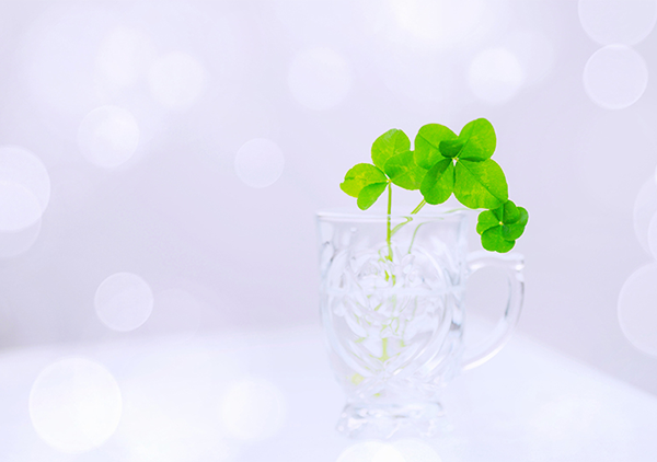 「ずっと一緒」を叶える。遺骨ジュエリーの魅力と後悔しない選び方